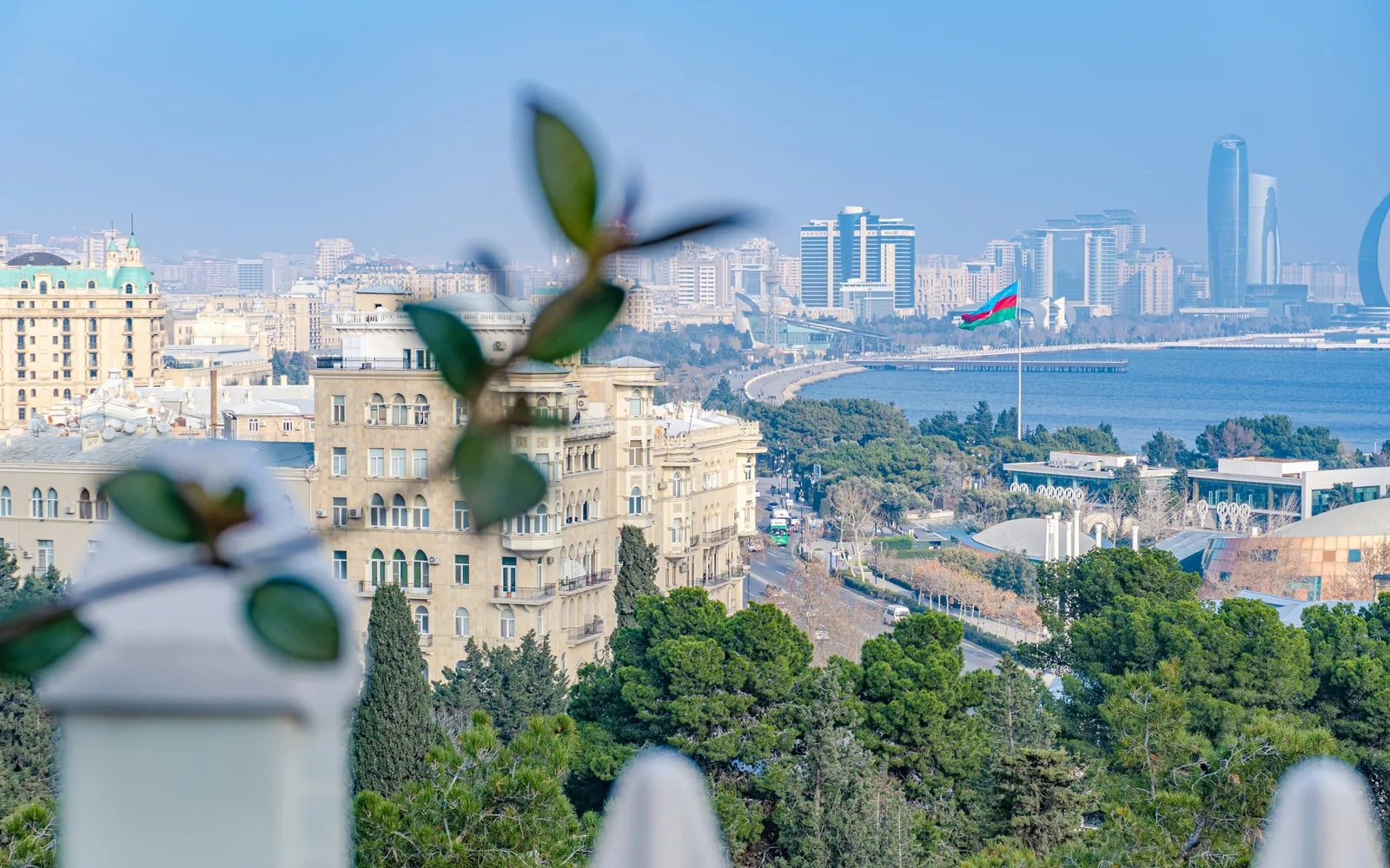 Cityscape with bay in the background and plant in focus.