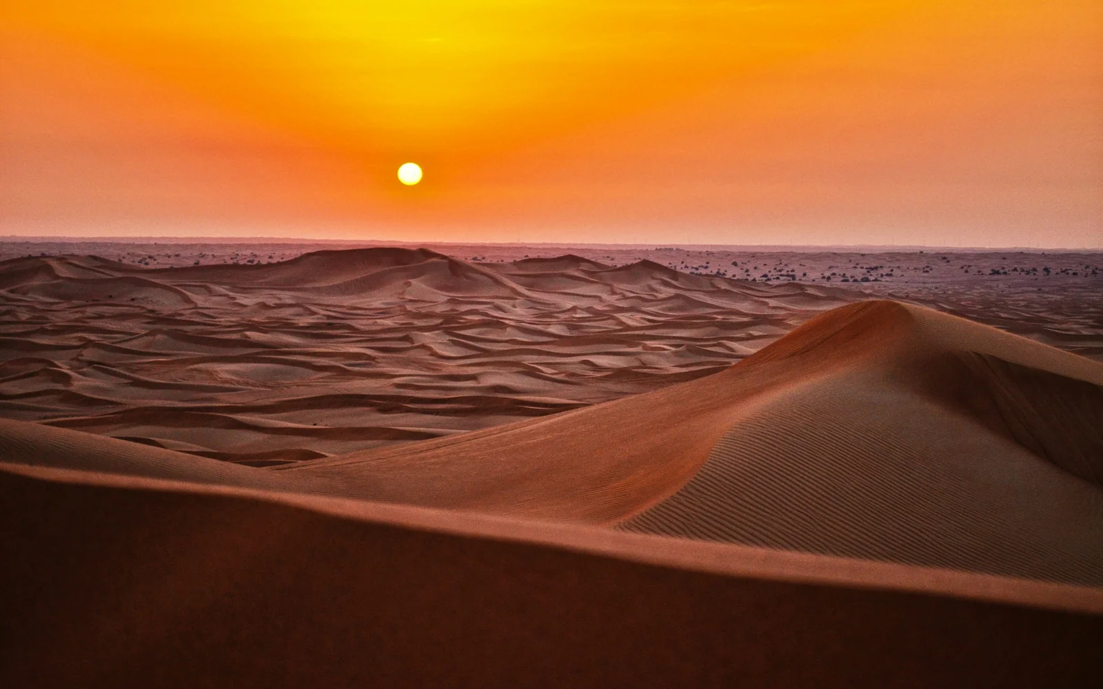 Sand dunes glowing at sunset in the Sahara desert