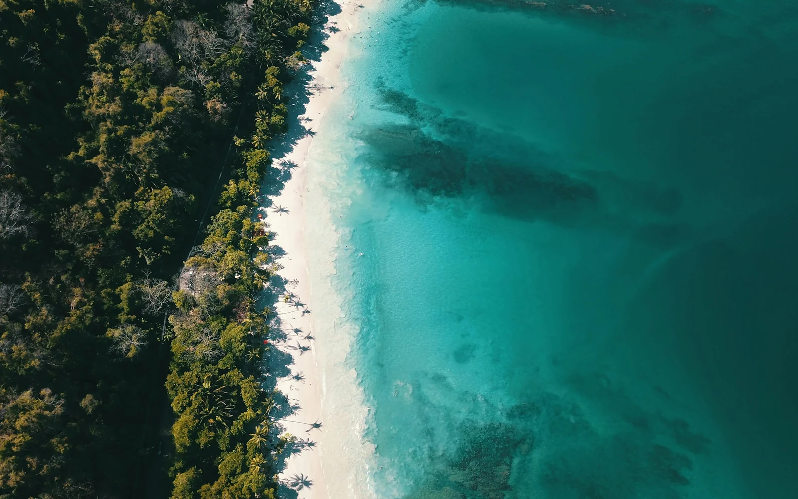 Aerial view of a Costa Rica beach meeting tropical rainforest