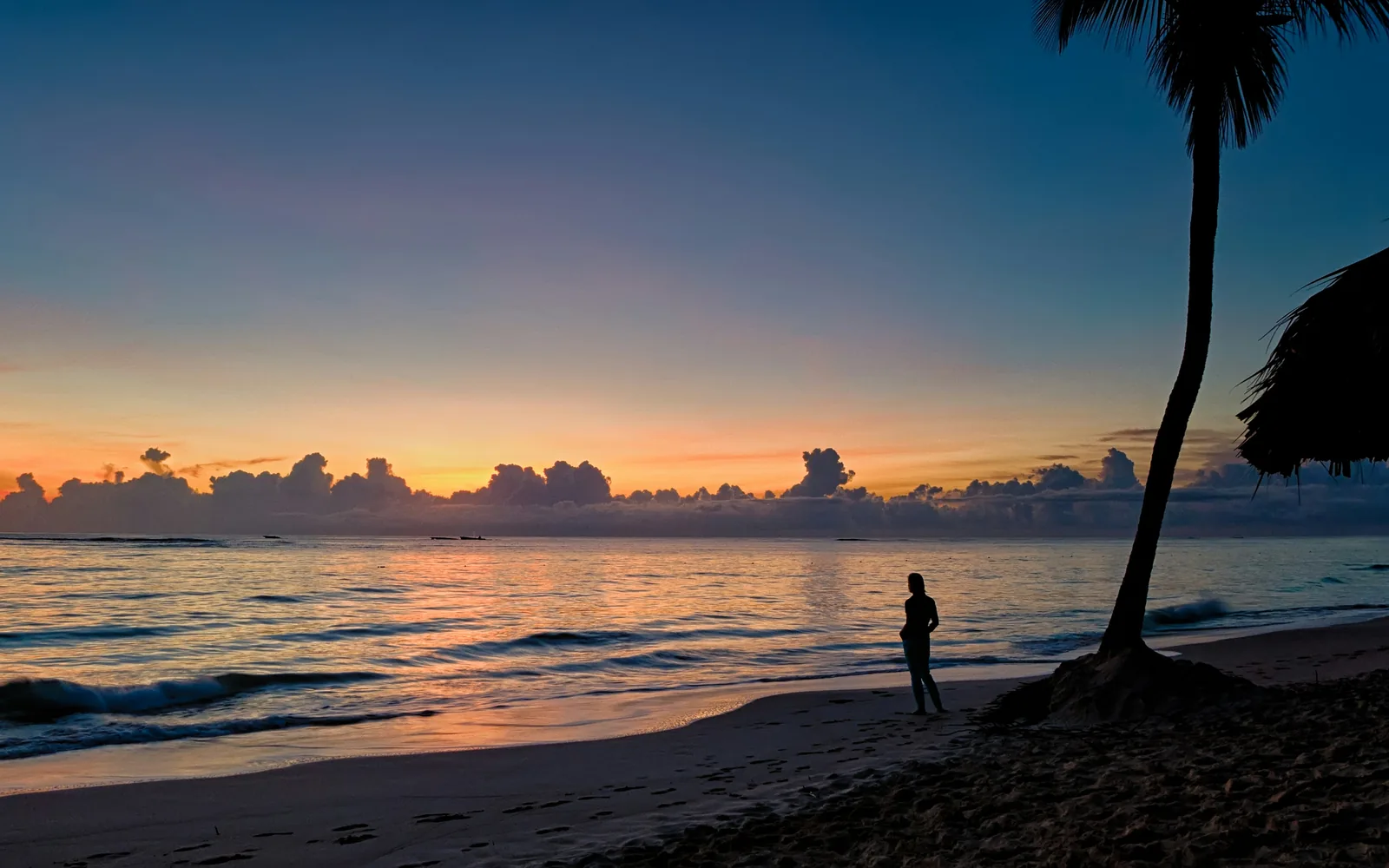On the beach in Punta Cana, Dominican Republic.