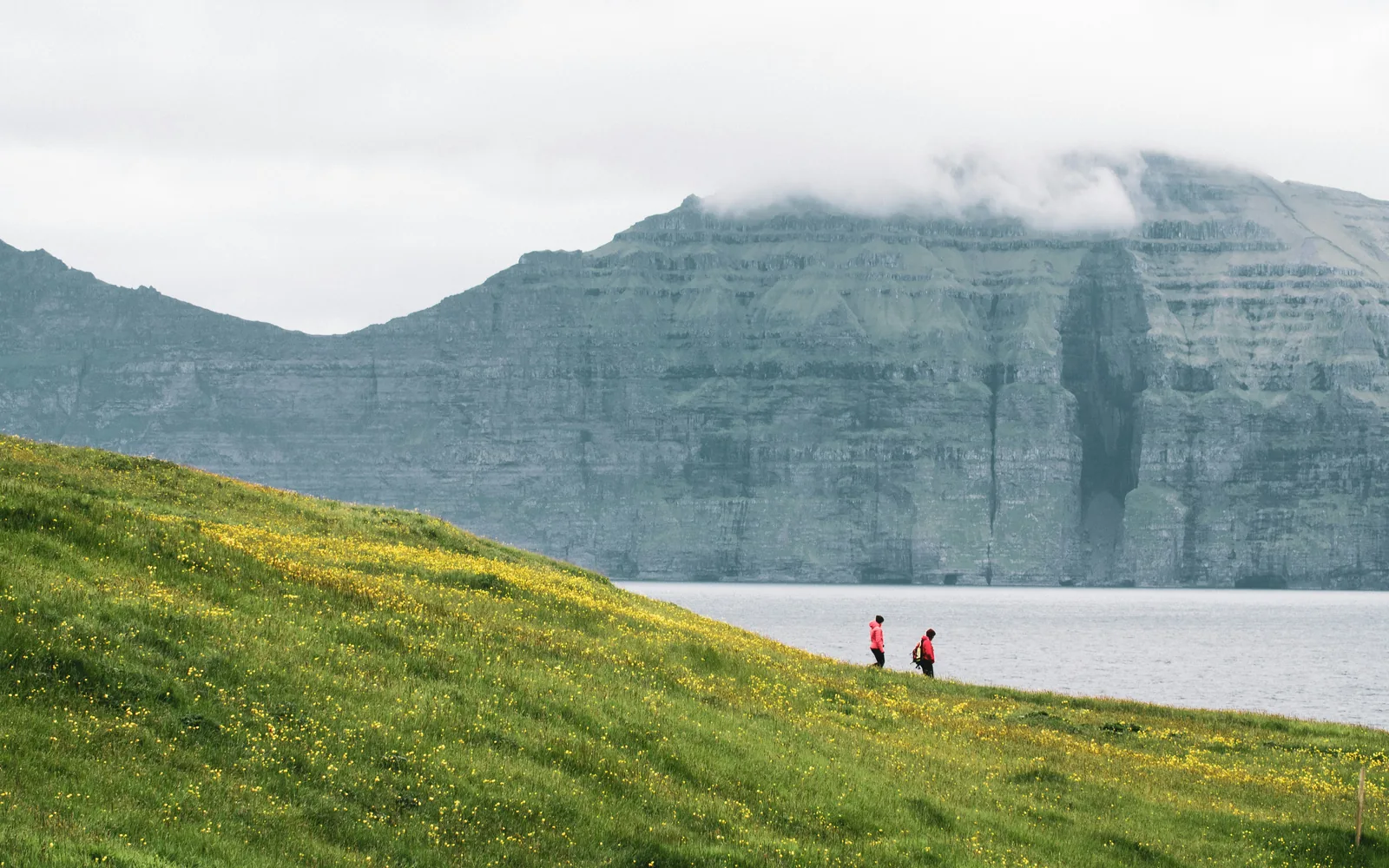 Wanderers on flowery hills in Gjógv with the island of Kalsoy in the background.