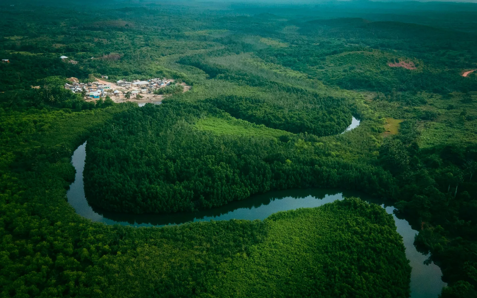 Aerial view of River Ezile and the mangrove forest