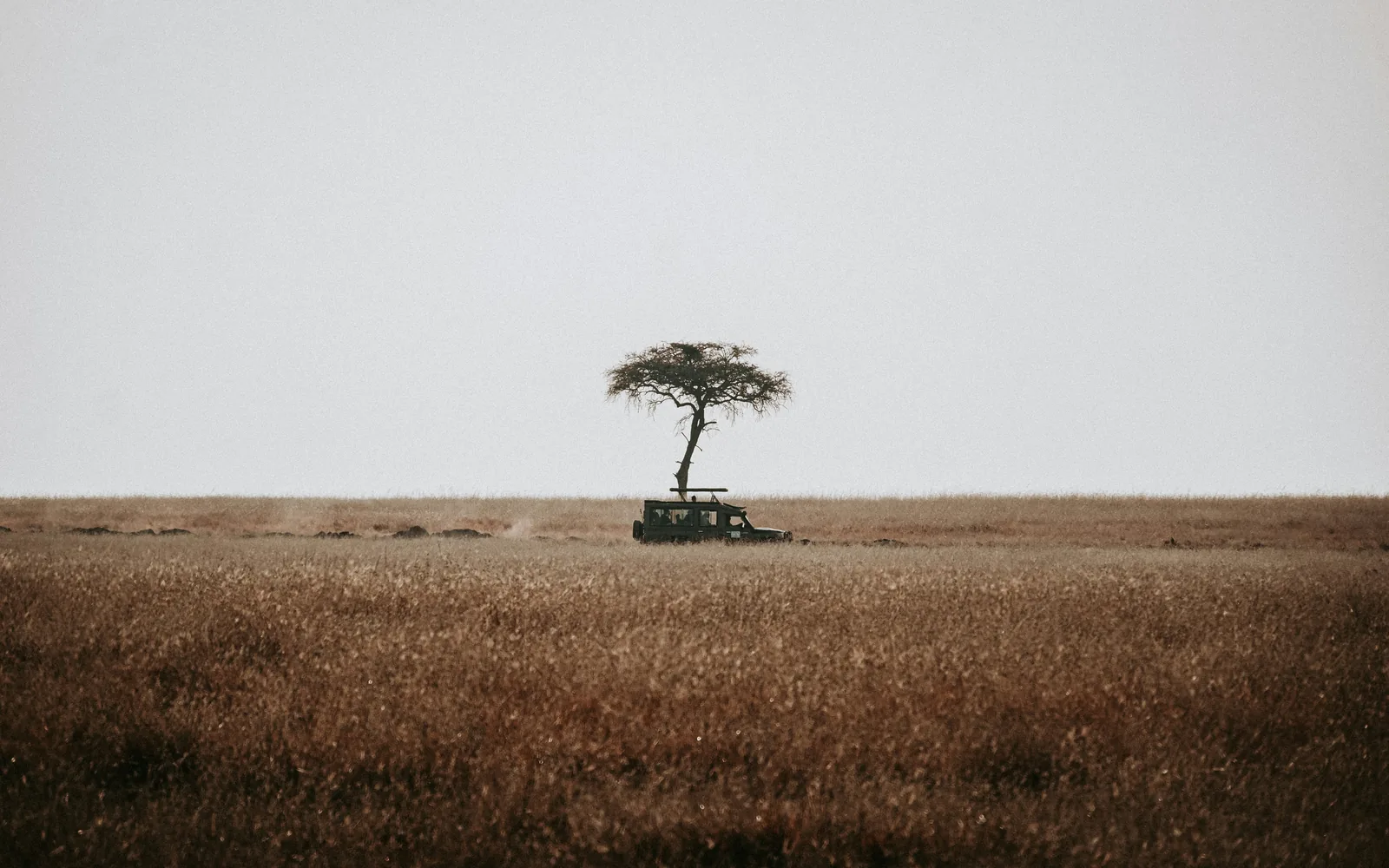 Kenya — landscape view