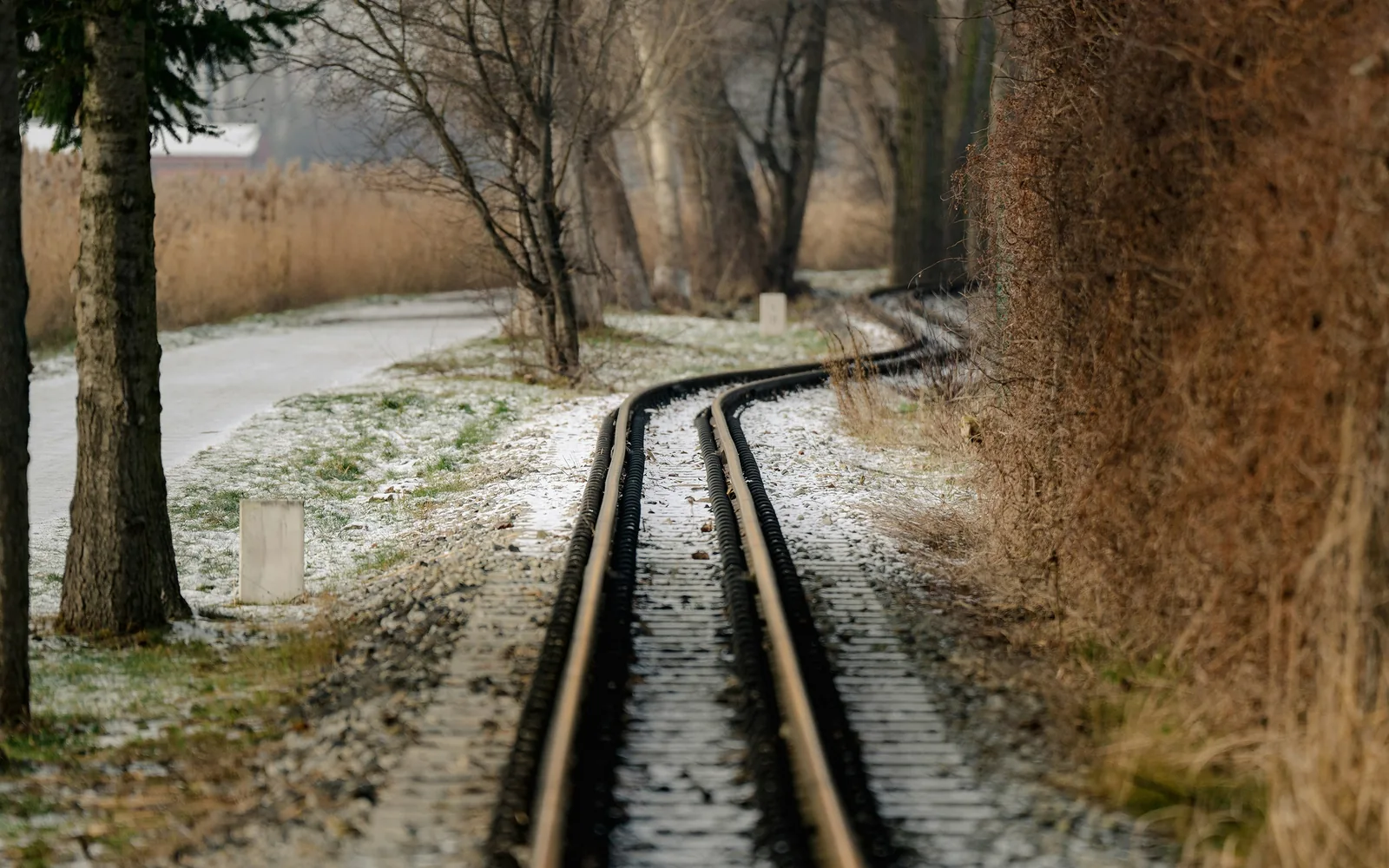 narrow gauge railway tracks in the city park - Maltanka train