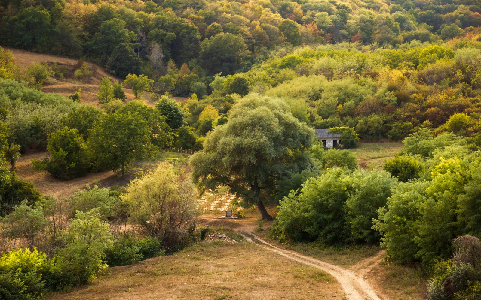 Moldova — landscape view