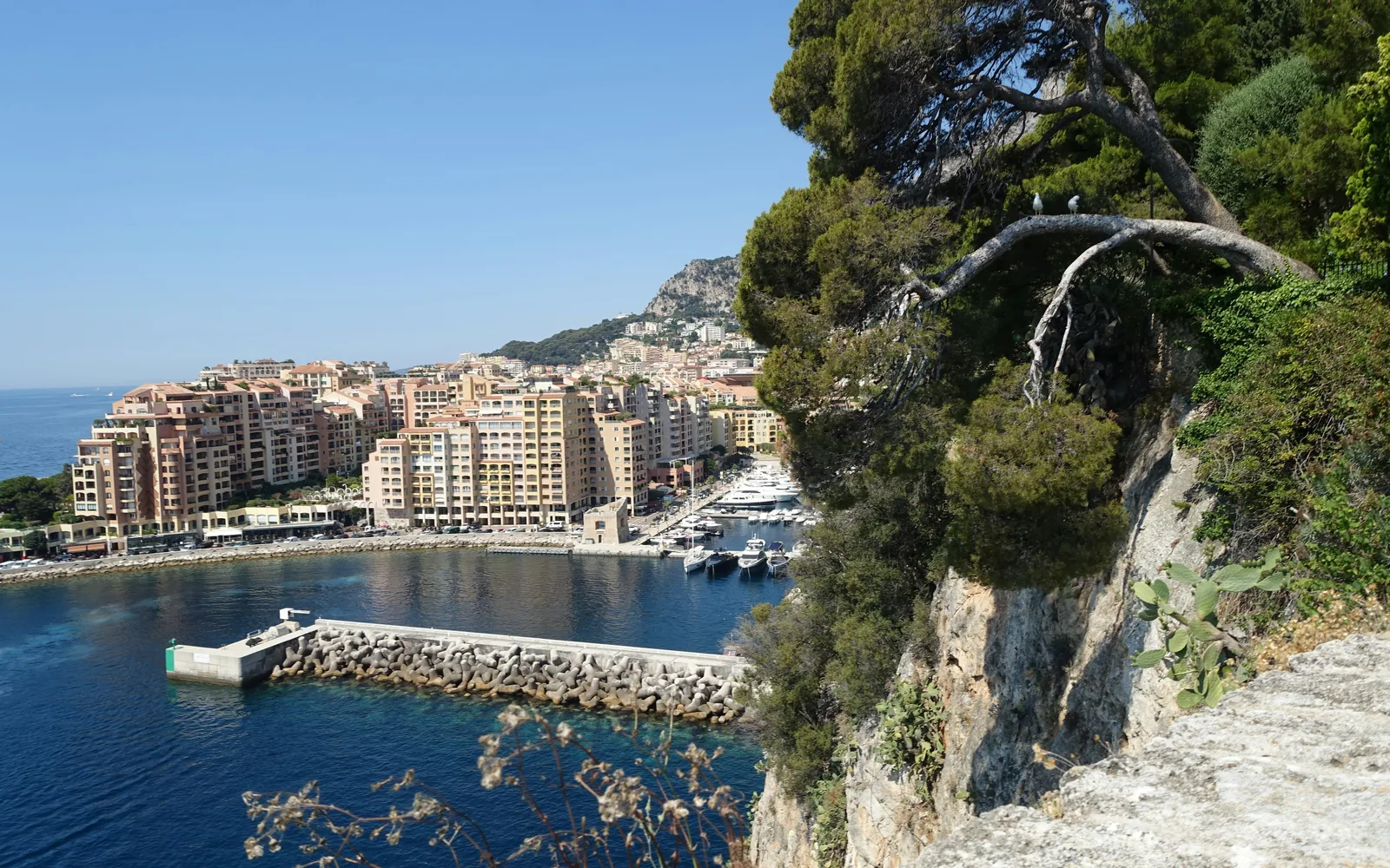 Coastal city with harbor and buildings on hillside.