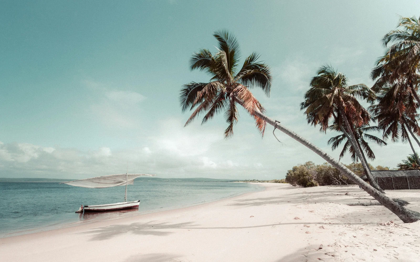 Tropical beach with coconut palms on the Indian Ocean coast of Mozambique
