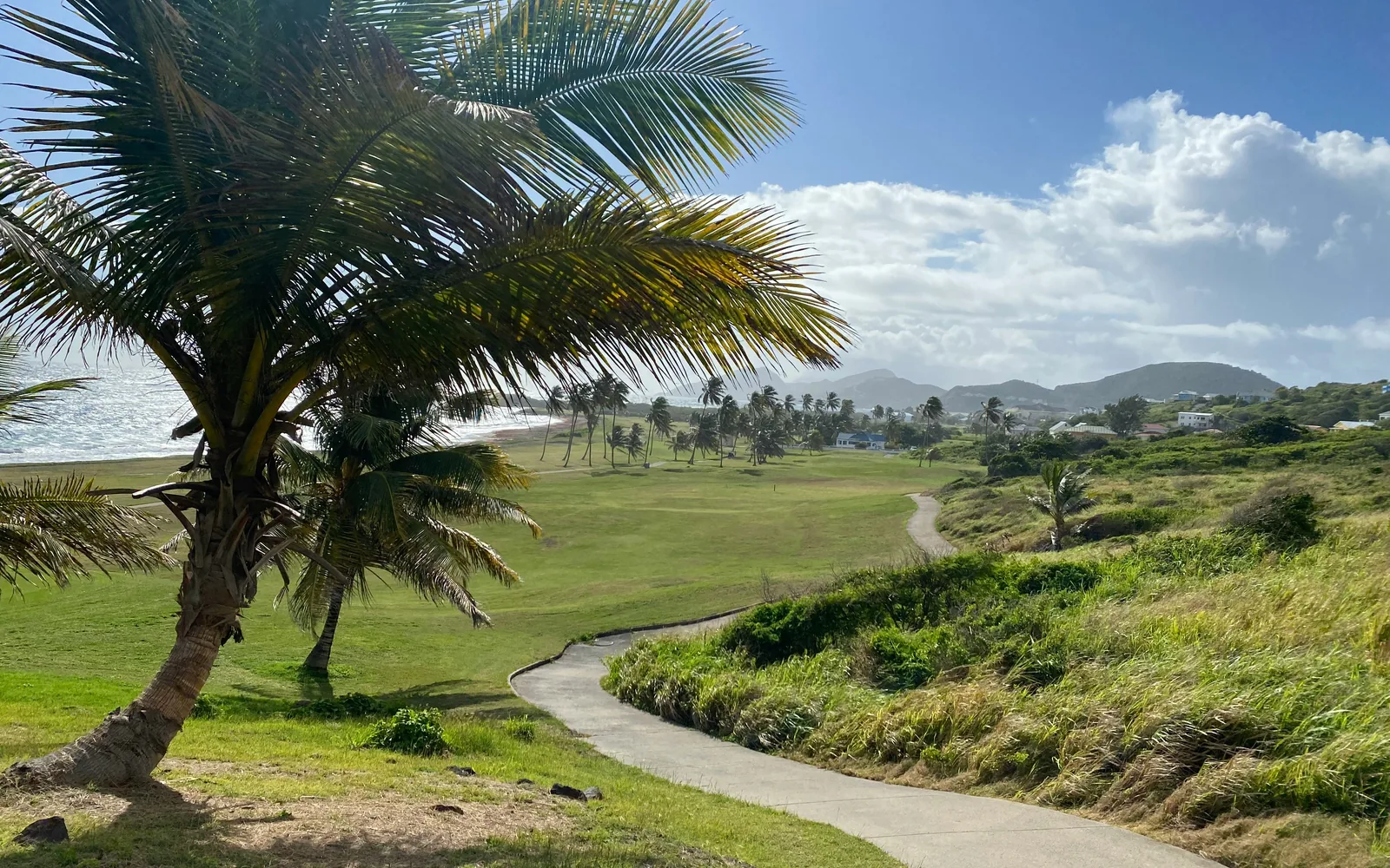 Path to Paradise 