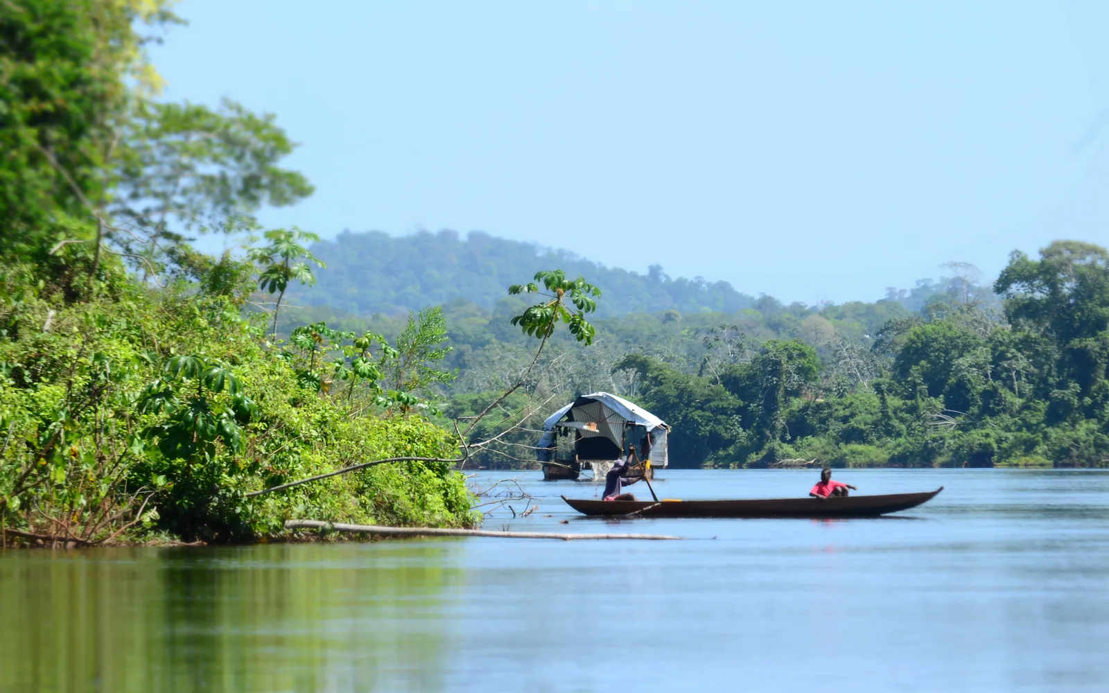 Suriname — landscape view
